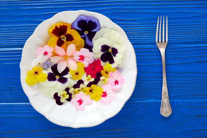 5 fleurs comestibles et les recettes pour les déguster 